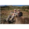 Image 6 : METANOIA VENTURES: 7-Day Tahr Free Range Bull Tahr Hunt with Metanoia Aventures New Zealand