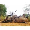 Image 1 : QUAGGA SAFARIS: 7-Day Hunt/Culling Package in South Africa for Four Hunters Including Trophy Fees