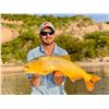Image 2 : EXCITING OUTDOORS: 5-Day Argentina Cast and Blast with Dove Shooting and Golden Dorado Fishing for S