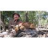 Image 2 : MASHAMBANZOU SAFARIS: 7-Day Livingstone Suni Hunting Adventure for One Hunter and One Non-Hunter in