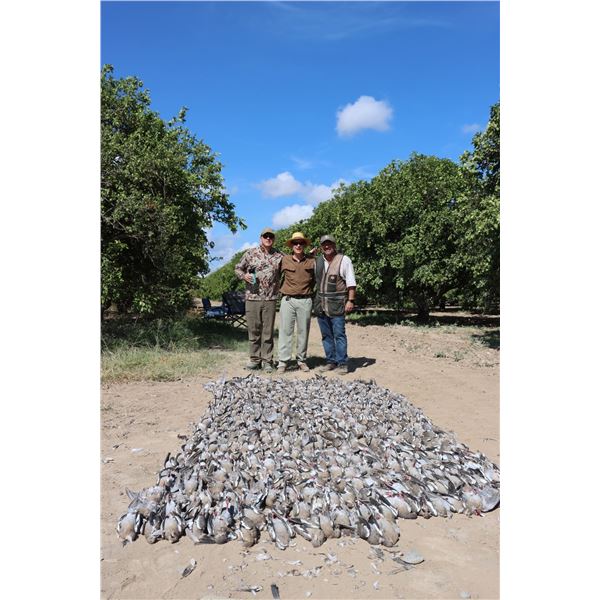 HACIENDA EL DORADO: Fantastic 3-Night Dove Hunt for Two Shooters in Mexico