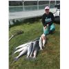 Image 2 : 2023 Alaska Kenai Peninsula Fishing Trip for Two (2) People