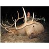 Image 2 : 2023 Utah San Juan Bull Elk Conservation Permit - Archery
