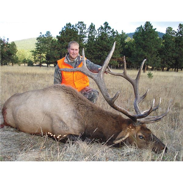 2023 Colorado Statewide Elk License