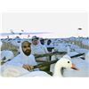 Image 2 : 2-Day Colorado Spring Snow Goose Hunt for Four (4) Hunters