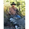 Image 2 : 8-Day 2023 Montana Mule Deer/Elk combo Hunt for One (1) Hunter