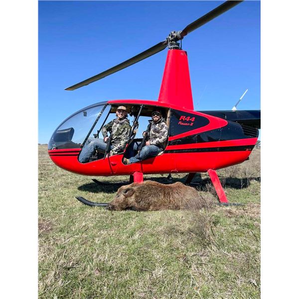 Helicopter Hog Hunt