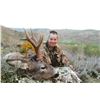 Image 1 : 3-Day European Roe Deer Hunt for One (1) Hunter