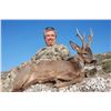 Image 2 : 3-Day European Roe Deer Hunt for One (1) Hunter