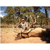Image 2 : 2023 Utah Plateau, Boulder Bull Elk Conservation Permit - Archery
