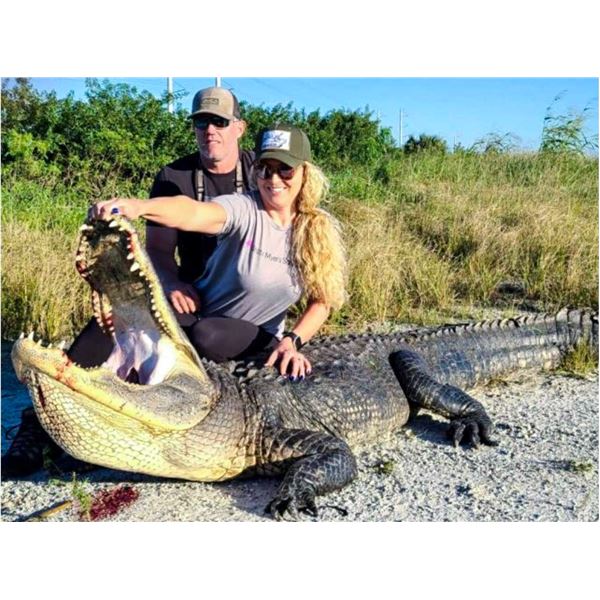 Florida Gator Hunt For 2