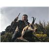 Image 2 : 3-Day Cantabrian Chamois Hunt for One (1) Hunter & One (1) Non-Hunter