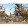 Image 2 : 7-Day South African Safari for Two (2) Hunters for Two (2) Impala and Two (2) Nyala