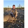 Image 2 : 2023 Texas Whitetail and Unlimited Hogs for 2 Hunters with Offgrid Outdoors
