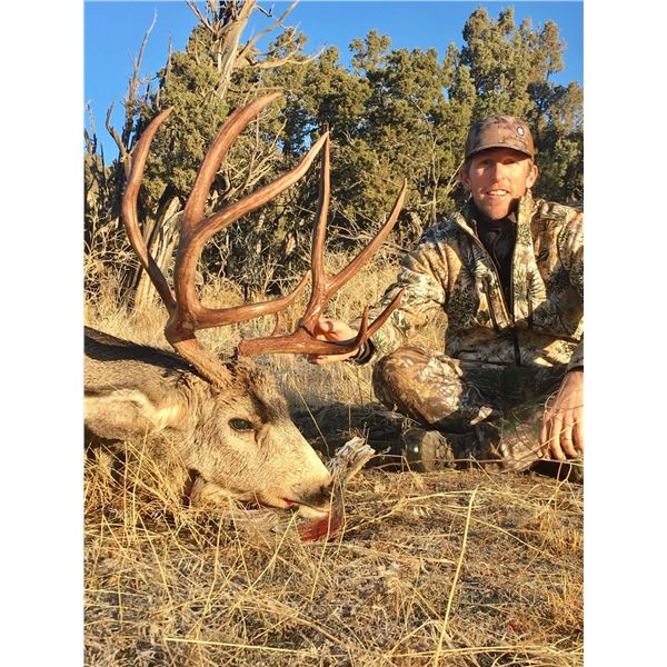 New Mexico Special Deer Permit