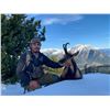Image 1 : 2-Day Pyrenean Chamois Hunt with Wine Tasting & Barcelona Tour for One (1) Hunter & One (1) Non-Hunt