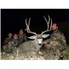 Image 2 : 2023 Utah Fillmore, Oak Creek LE Buck Deer Landowner Permit