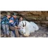 Image 2 : 2023 Utah Statewide Mountain Goat Conservation Permit