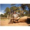 Image 1 : 2023 Utah Plateau, Boulder Bull Elk Conservation Permit, Multi-Season