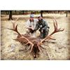 Image 2 : 4-Day Hunt in Spain for Two (2) Hunters for Two (2) Iberian Red Deer