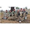 Image 1 : 2023 Utah Henry Mtns Buck Deer Conservation Permit, Hunter’s Choice of Season