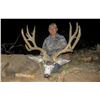 Image 2 : 2023 Utah Henry Mtns Buck Deer Conservation Permit, Hunter’s Choice of Season