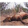 Image 2 : 7-Day Bull Elk Hunt for Two (2) Hunters on the Zuni Reservation in New Mexico