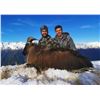 Image 2 : 5-Day Gold Red Stag & Tahr Combo Hunt for One (1) Hunter