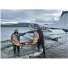 Image 2 : 2024 Alaska Fly- in Moose Hunt DIY For 2 Hunters