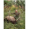 Image 2 : 2023 Utah San Juan Bull Elk Conservation Permit, Any Legal Weapon Season Choice