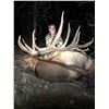 Image 1 : New Mexico Special Elk License