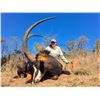 Image 1 : 7-Day South Africa Plains Game Hunt for Two (2) Hunters