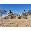 Image 8 : 7-Day South Africa Plains Game Hunt for Two (2) Hunters