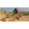 Image 8 : 5-Day Mozambique Crocodile Hunt for One (1) Hunter & One (1) Non-Hunter