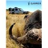 Image 1 : 7-Day South Africa Cape Buffalo Hunt for Two (2) Hunters