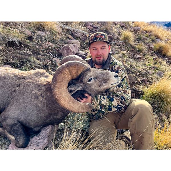 2023 Utah Fillmore, Oak Creek (Late) Rocky Mountain Bighorn Sheep Conservation Permit, Any Legal wea