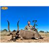 Image 1 : 10-Day Thabazimbi, South Africa Guided Plains Game Safari for Two (2) Hunters for One (1) Nyala and