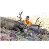 Image 2 : 2023 Utah Fillmore, Oak Creek LE Buck Deer Conservation Permit, Hunter’s Choice
