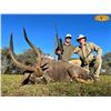 Image 2 : 10-Day Thabazimbi, South Africa Guided Plains Game Safari for Two (2) Hunters for One (1) Sable and