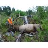 Image 2 : Multi Zone California Elk Permit