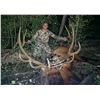 Image 1 : 2023 Utah Mt. Dutton, Bull Elk Conservation Permit, Any Legal Weapon