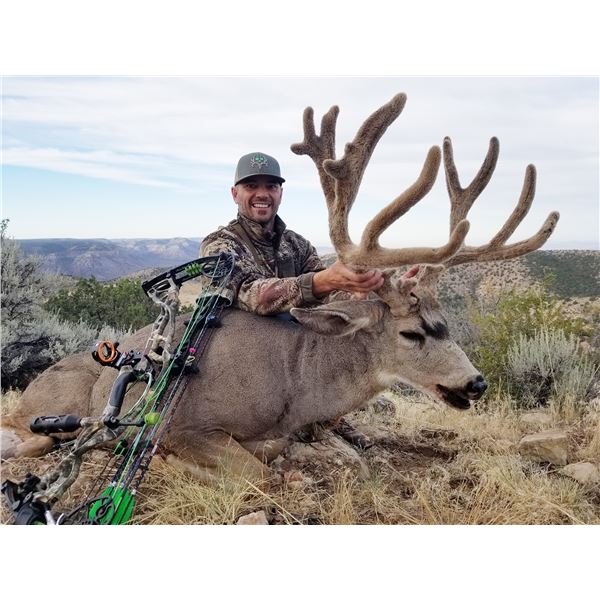 2023 Arizona Special License Mule Deer Tag 2023-arizona-special-license-mule-deer-tag