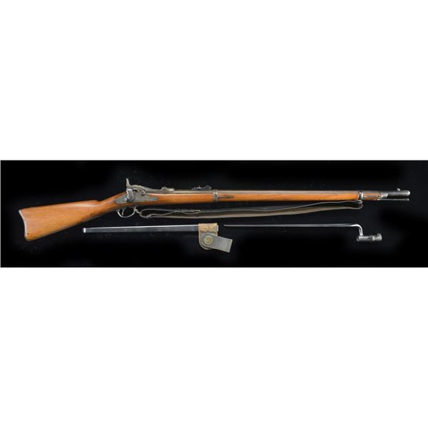 SPRINGFIELD 1884 TRAPDOOR RIFLE.