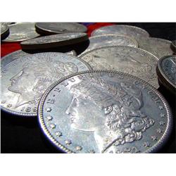 Lot of 12 Morgan Silver Dollars AU