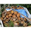 Image 2 : LG. STACK OF FIREWOOD