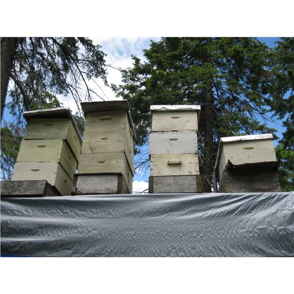 LOT OF ASSORTED BEEKEEPING BOXES