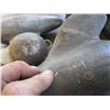 Image 2 : 3 DOWNRIGGER WEIGHTS