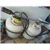 Image 1 : 2 PROPANE TANKS & A TIGER TORCH