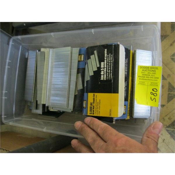 PLASTIC CONTAINER OF ASST. BRAD NAILS