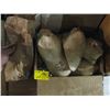 Image 1 : BOX OF BOBCAT HEAD MOUNTS & TUB OF BOBCAT GREEN DRIED HIDES